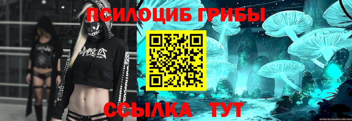 Псилоцибиновые грибы прущие грибы Чайковский